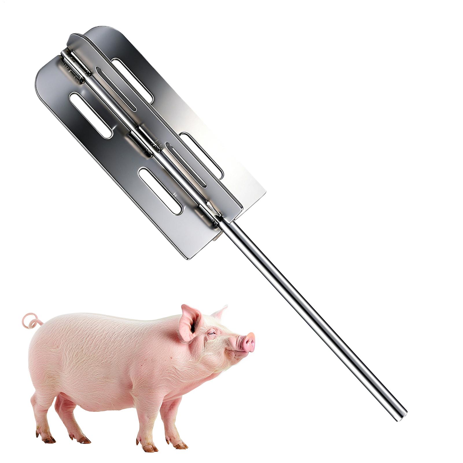 Hog Scraper Tool Stainless Ste - Tools For Home Workshop recension och pris